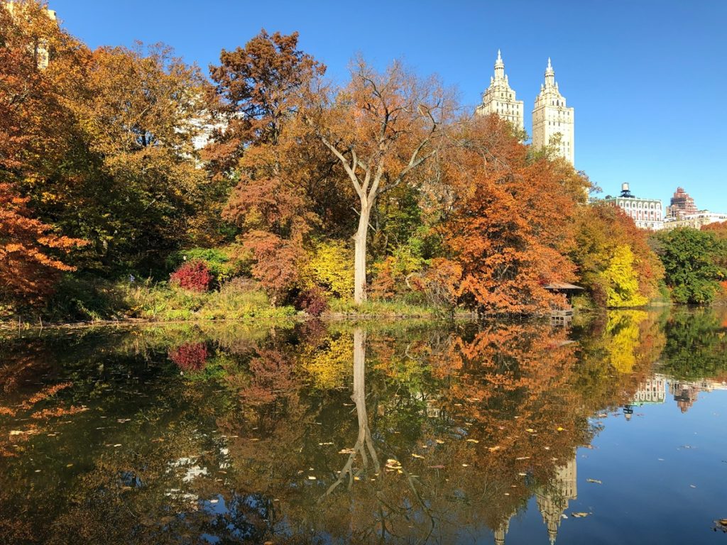 edificio in cemento bianco circondato da alberi, su uno specchio d'acqua durante il giorno