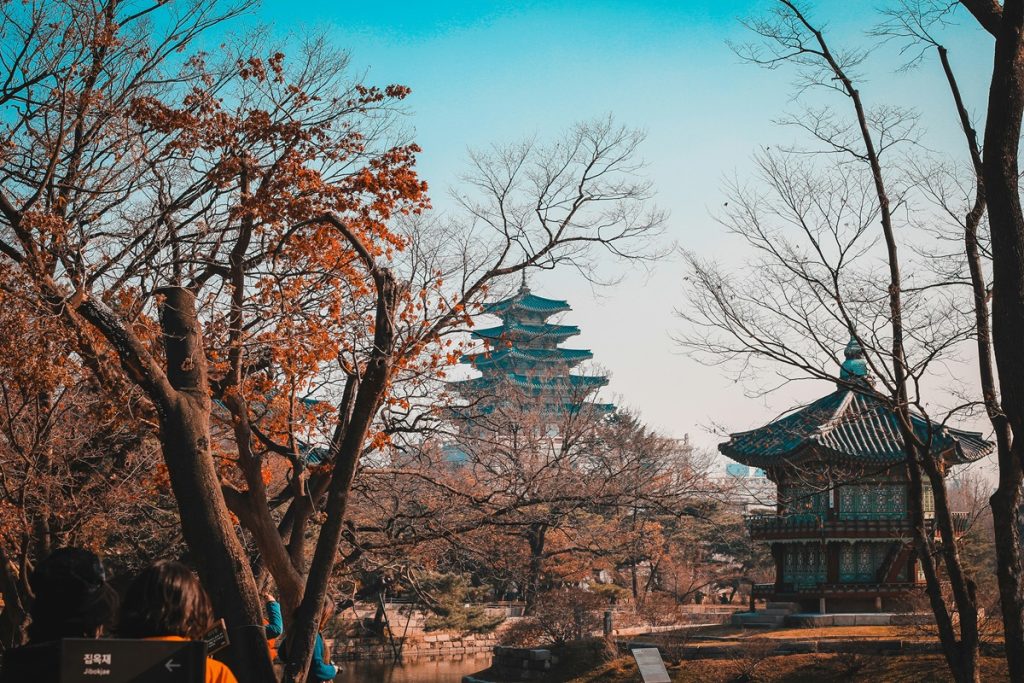 alberi spogli marroni sotto il cielo blu durante il giorno, autunno in città