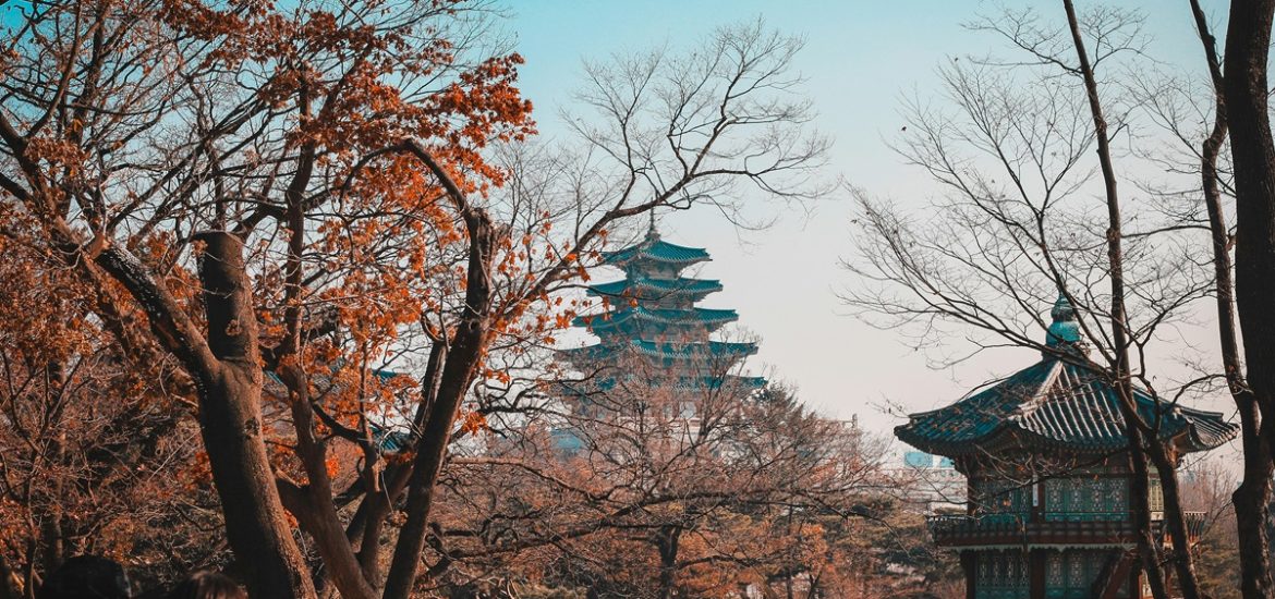 alberi spogli marroni sotto il cielo blu durante il giorno, autunno in città