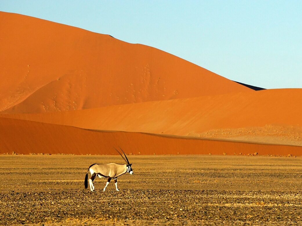 Paesaggio desertico Namibia.  Viaggi di nozze combinati